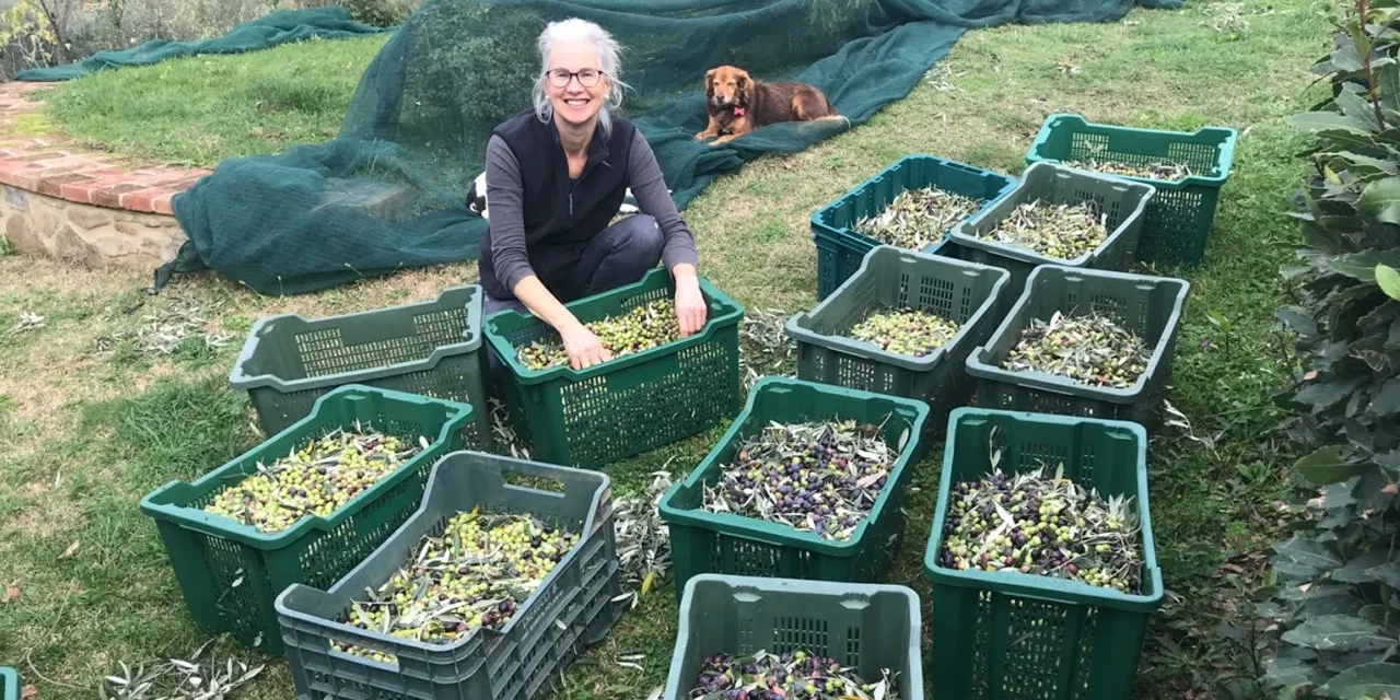 A woman with white hair and glasses smiles as she digs through cartons of fresh-picked leaves. A dog is seated behind her on a green tarp and grass.